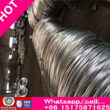 Galvanized High Carbon Straightened Steel Wire